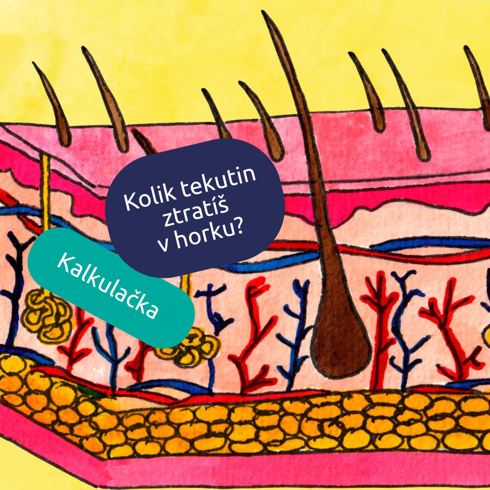 Kalkulačka pocení: kolik tekutin ztratíš v horku?
